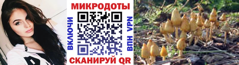 Галлюциногенные грибы мицелий  Губкинский 